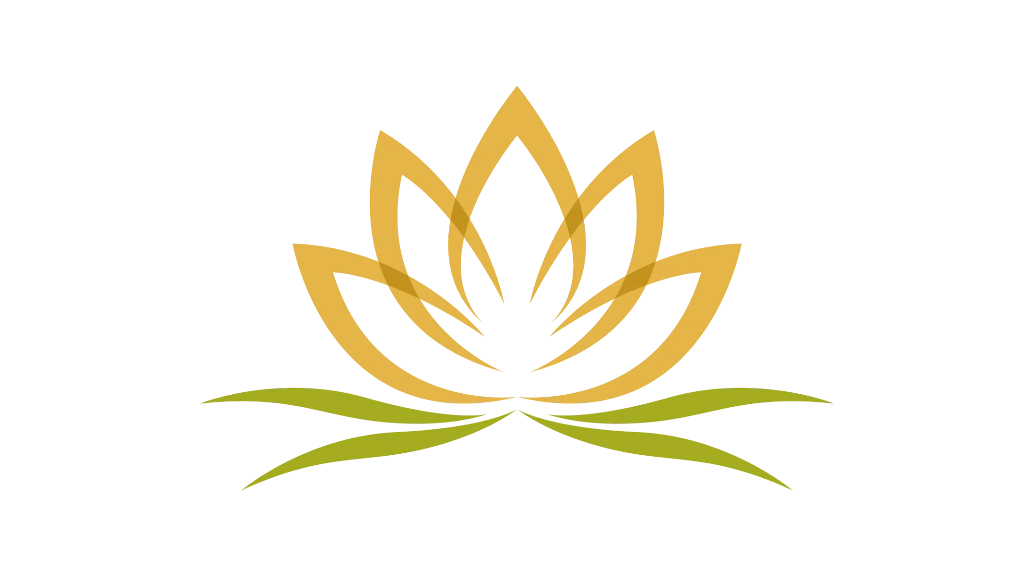 Lotus Flower